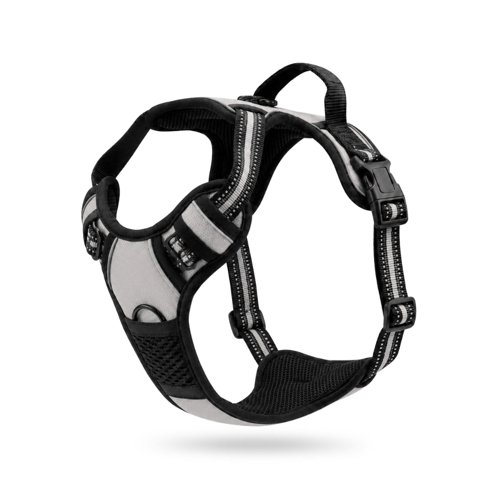Padded No-Pull Dog Harness