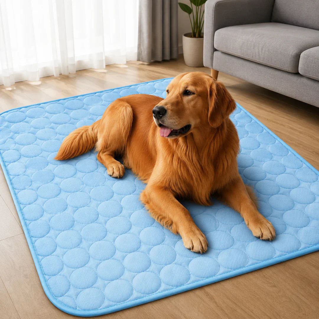 Celrien | Frostbed Washable Pet Cooling Mat