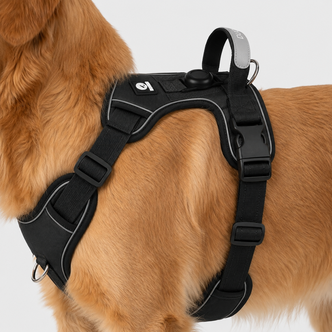 Celrien | Strutpaw Adjustable No-Pull Chest Harness