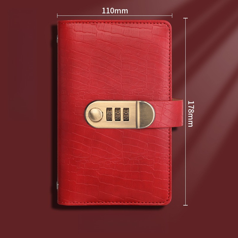 Locked Leather Cash Binder