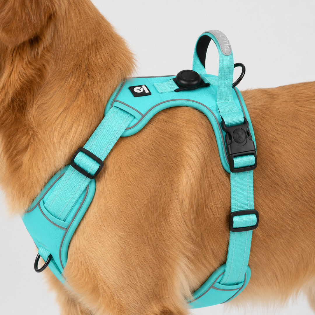 Celrien | Strutpaw Adjustable No-Pull Chest Harness