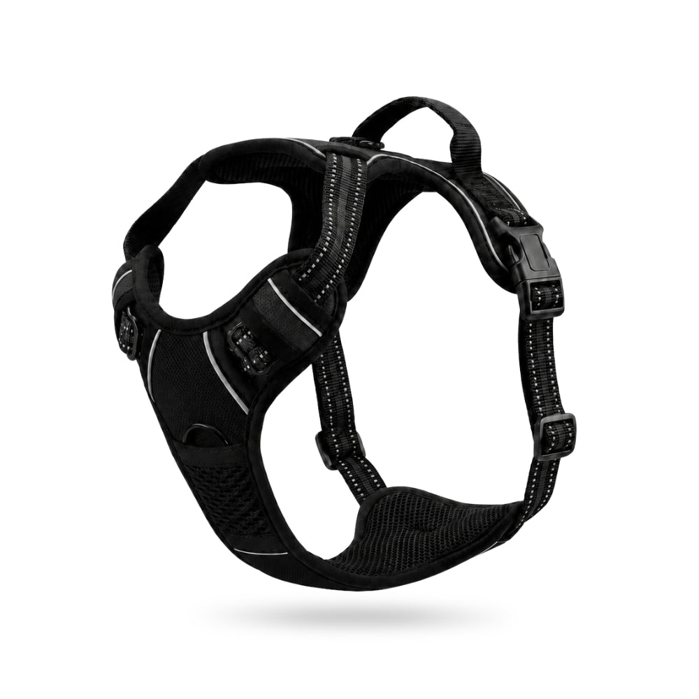 Padded No-Pull Dog Harness