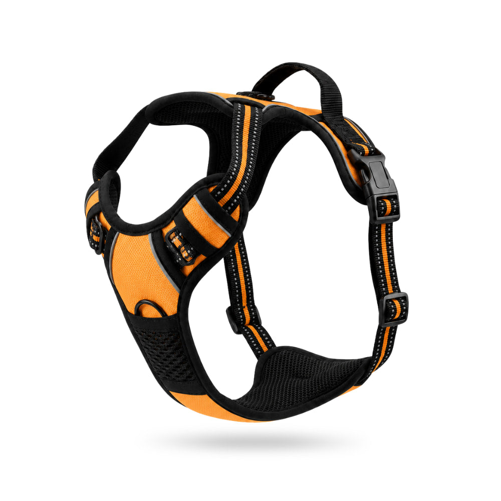 Padded No-Pull Dog Harness