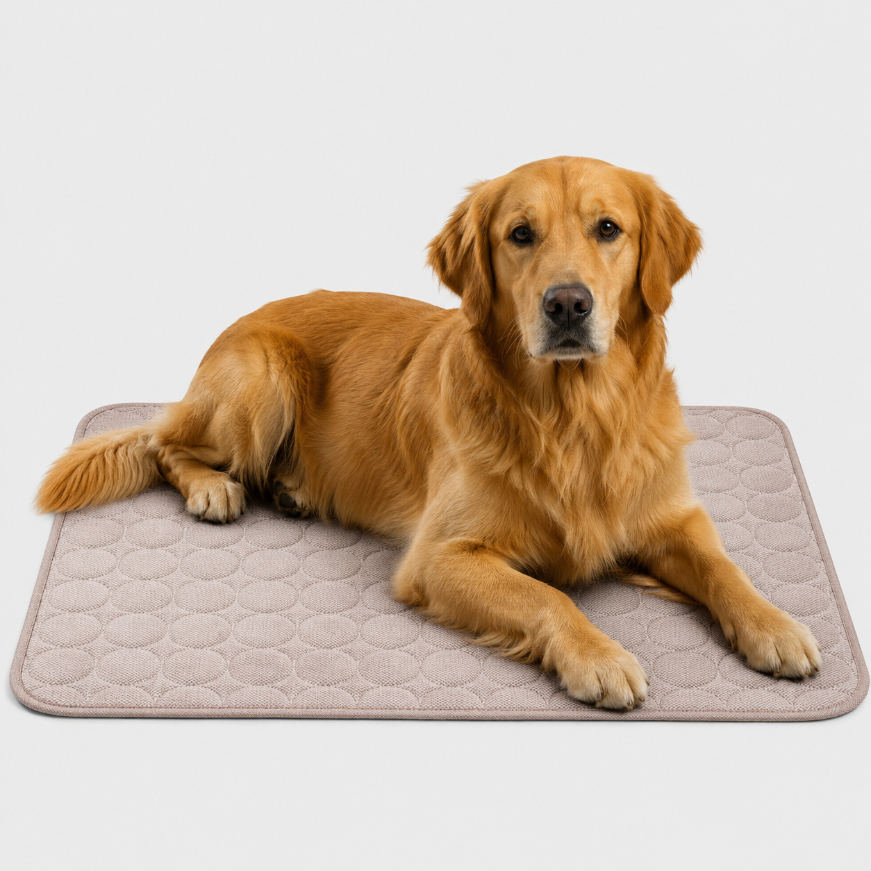 Celrien | Frostbed Washable Pet Cooling Mat