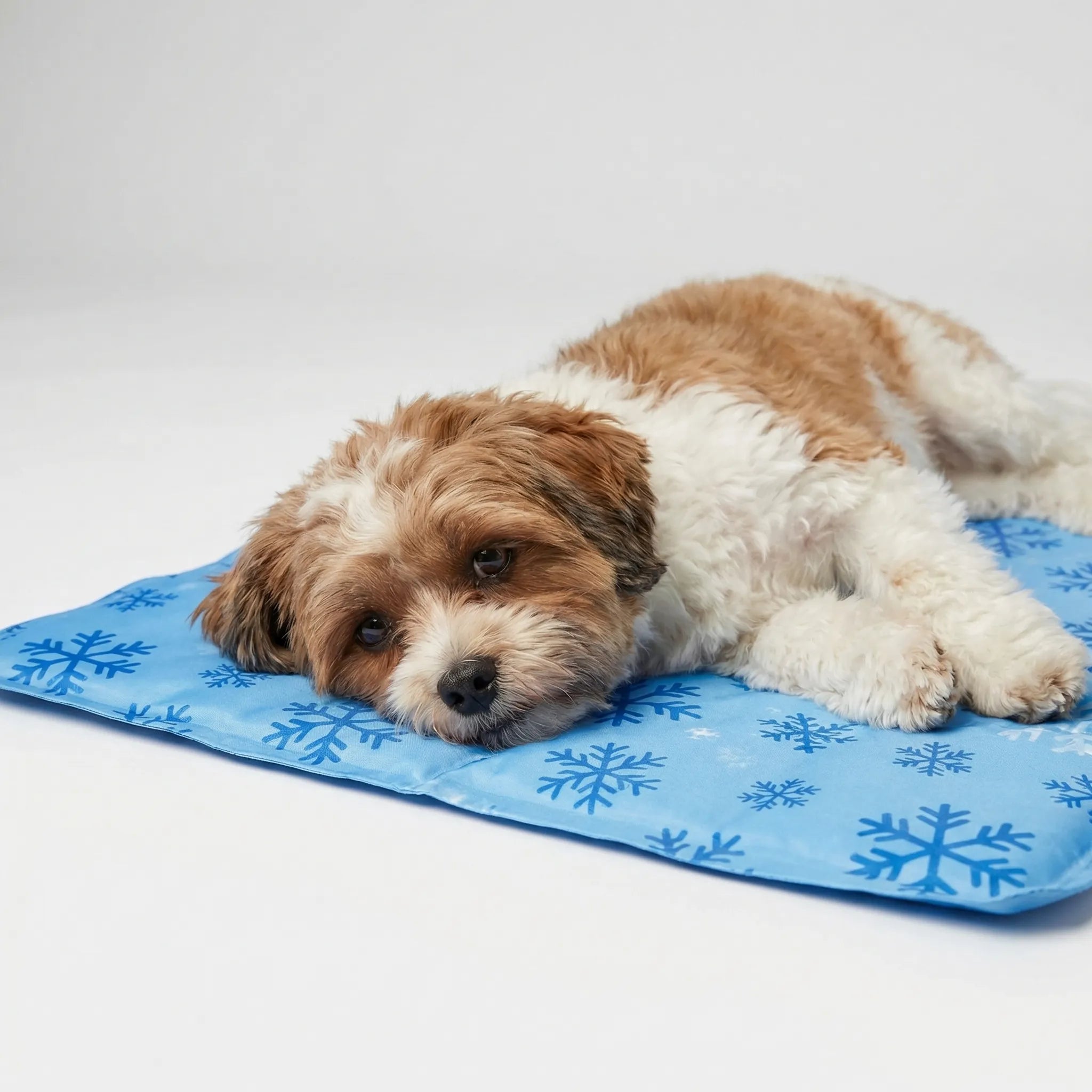 Water-filled cooling mat for dogs and cats with snowflake print design
