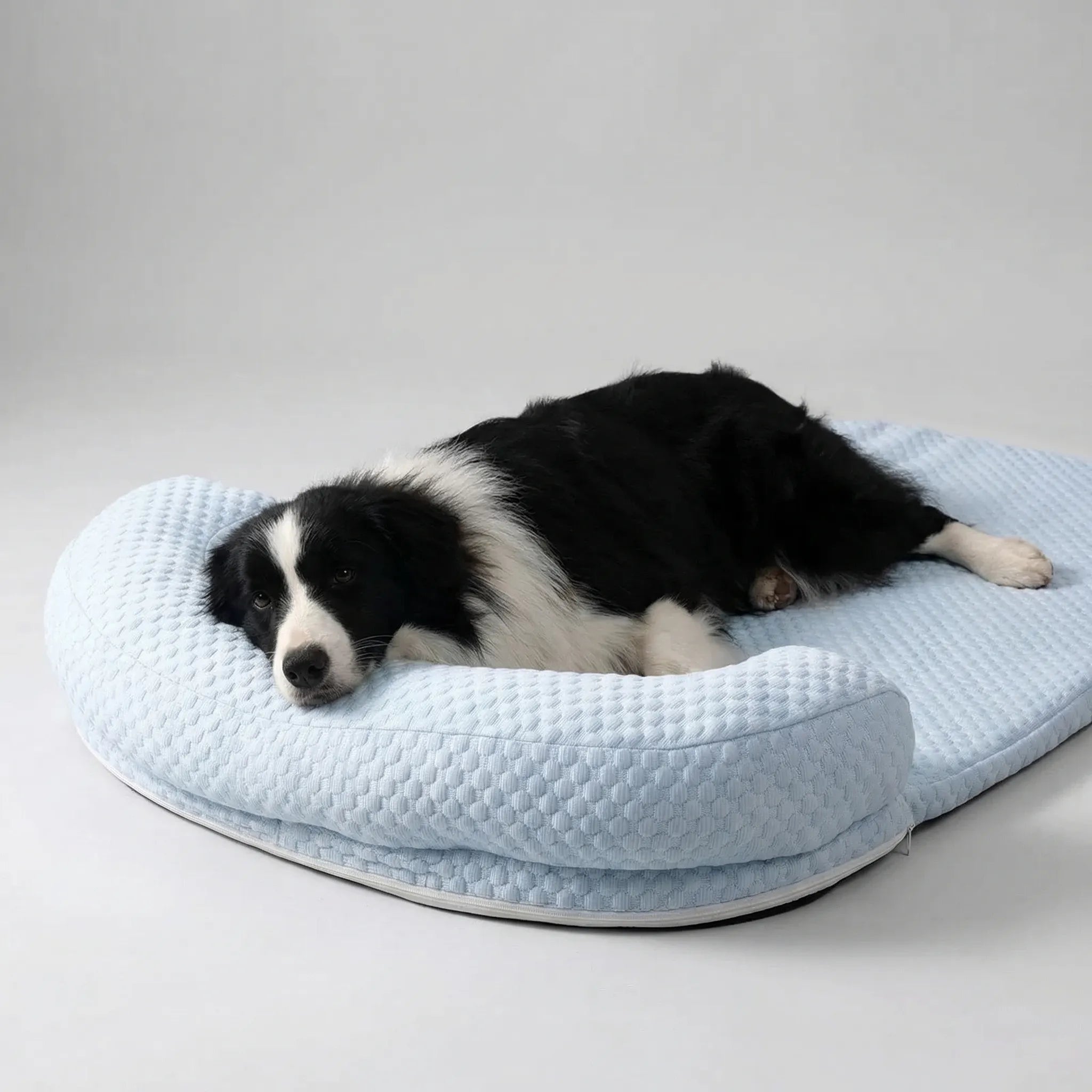 Cooling pet bed with foam base, removable washable cover and bolster headrest