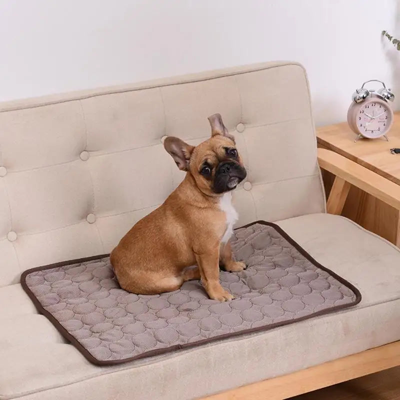 Breathable mesh cooling pet mat lightweight portable summer design