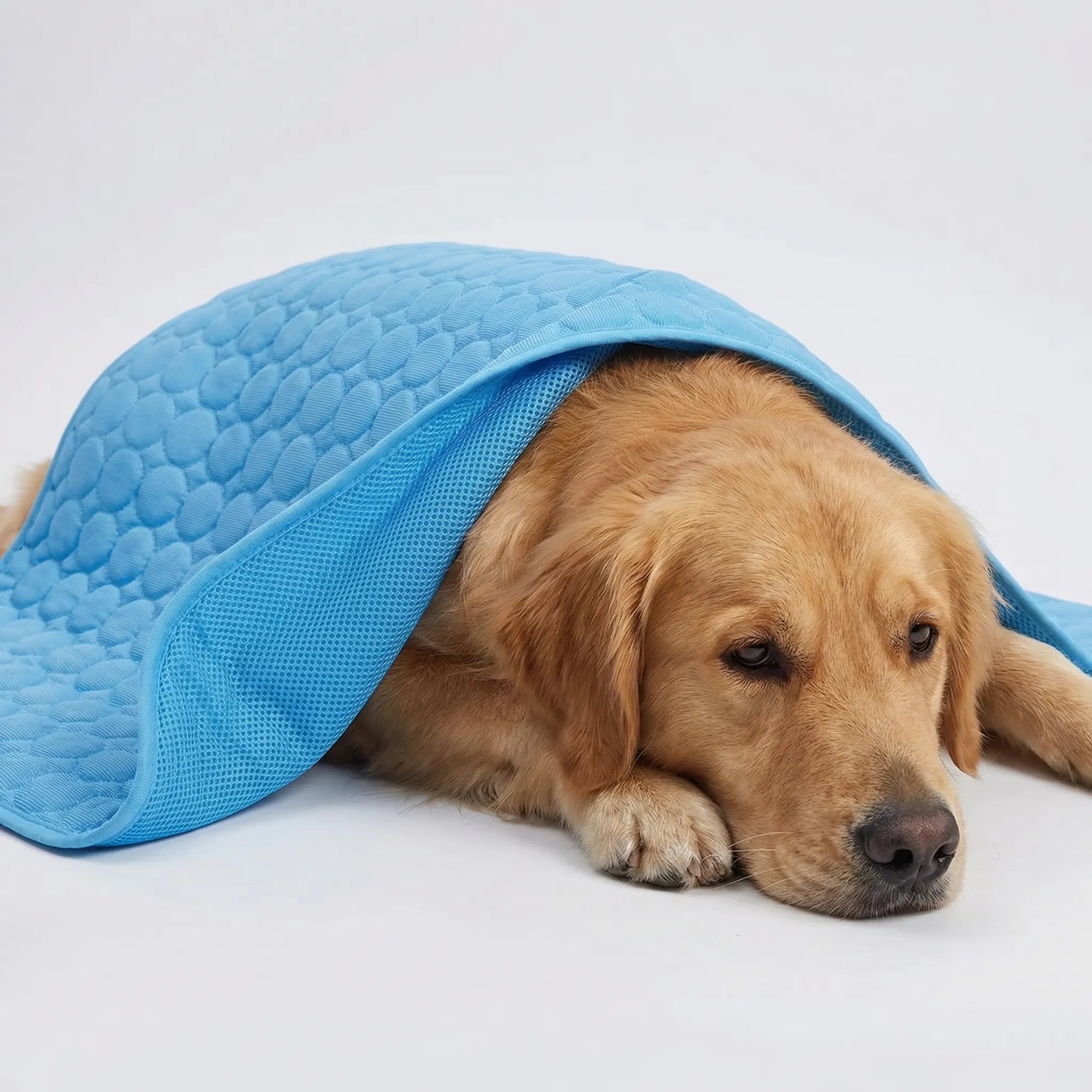 Breathable mesh cooling pet mat lightweight portable summer design