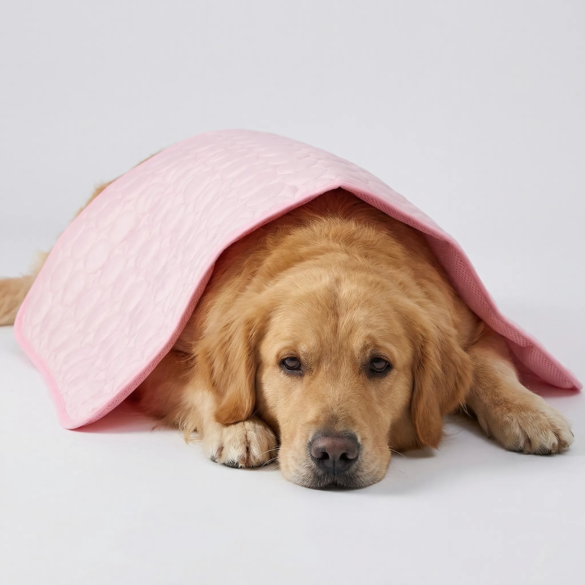 Breathable mesh cooling pet mat lightweight portable summer design