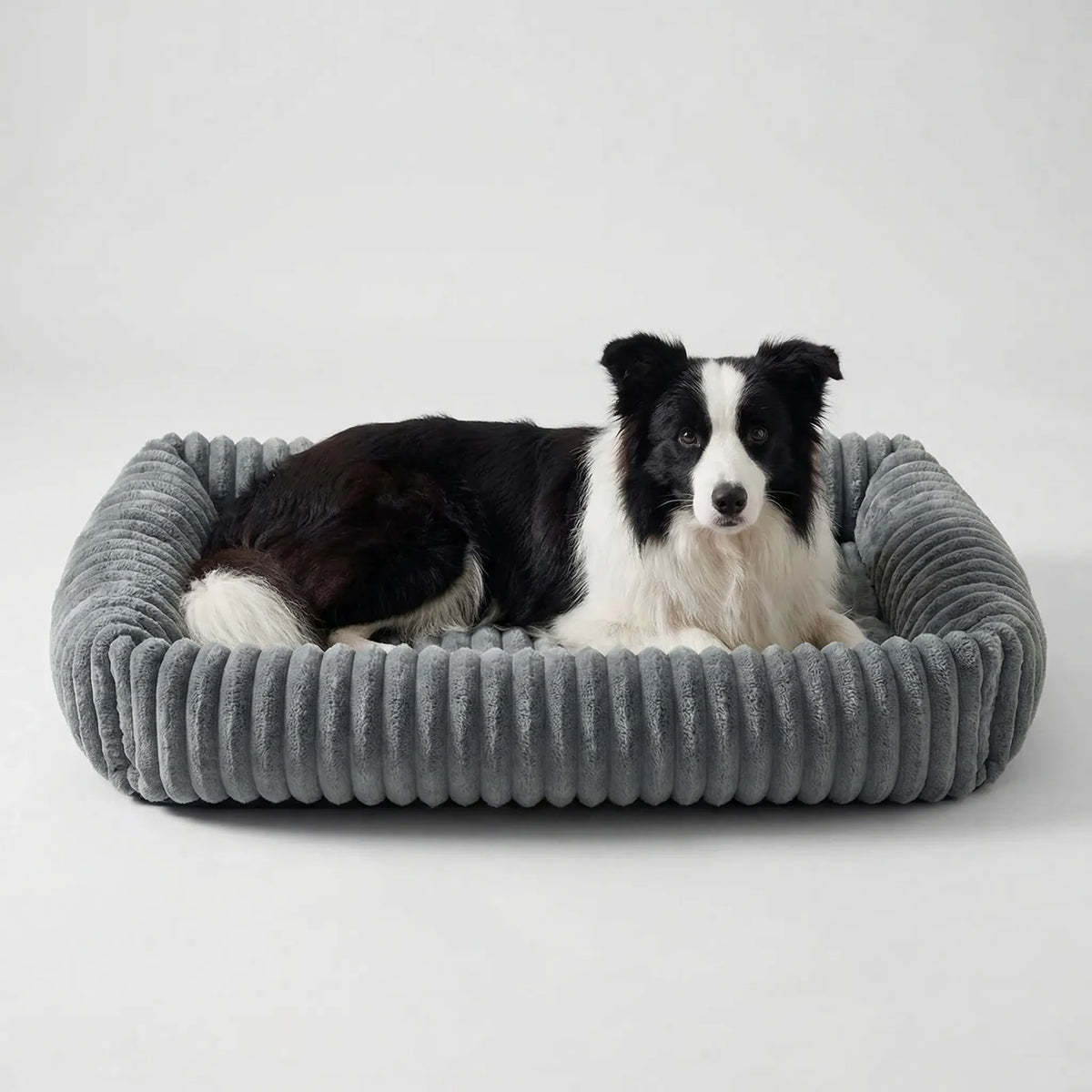 Orthopedic plush dog bed with raised sides for large dogs