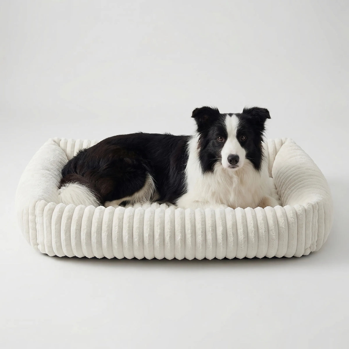 Orthopedic plush dog bed with raised sides for large dogs