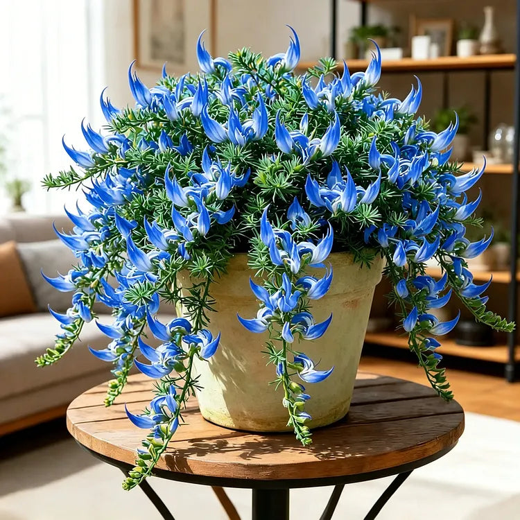 Parrot's Beak Flower Bulbs (100 Seeds)