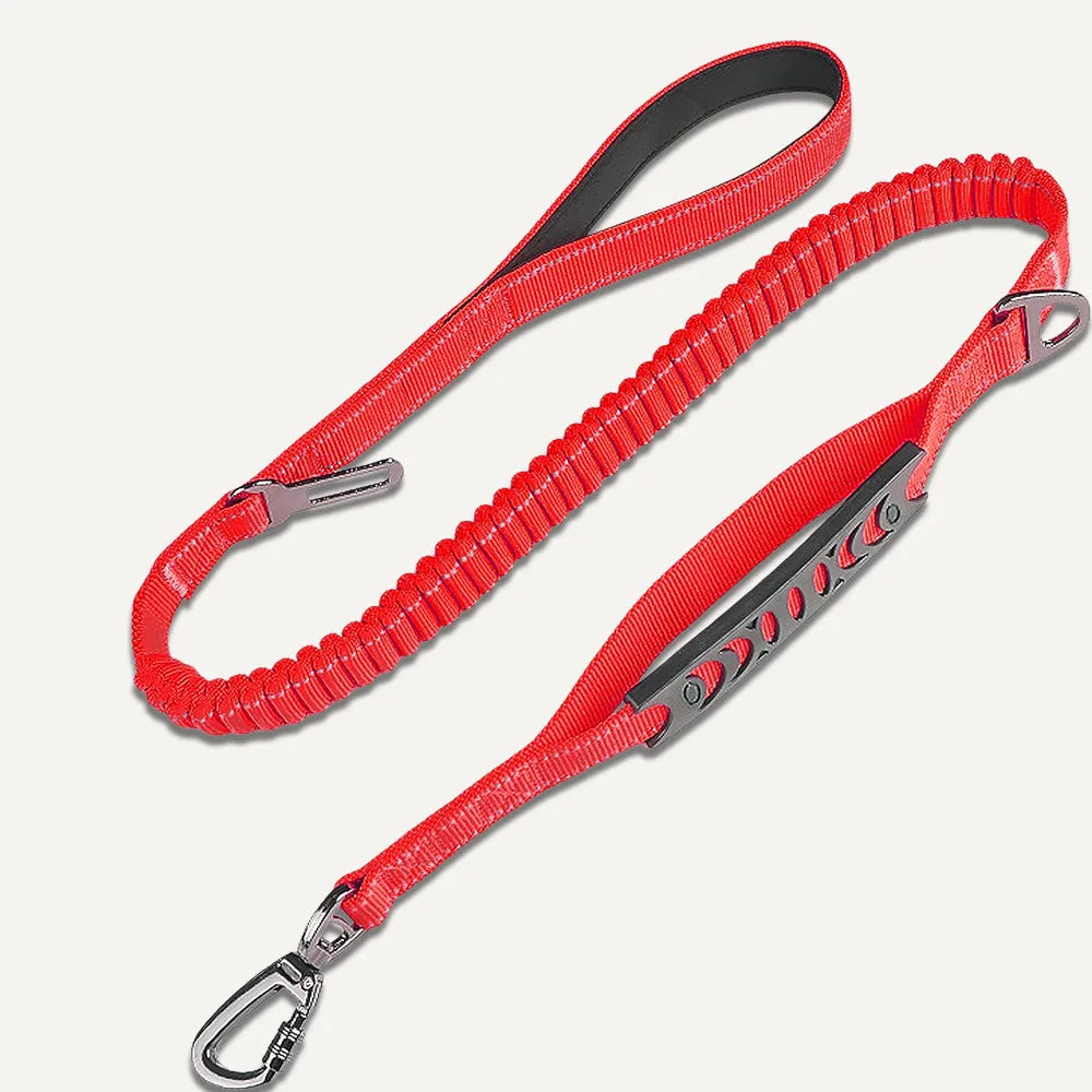 Anti-Pull Leash