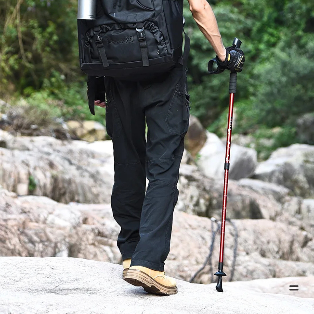 Celrien | Alumora Collapsible Aluminum Trekking Pole