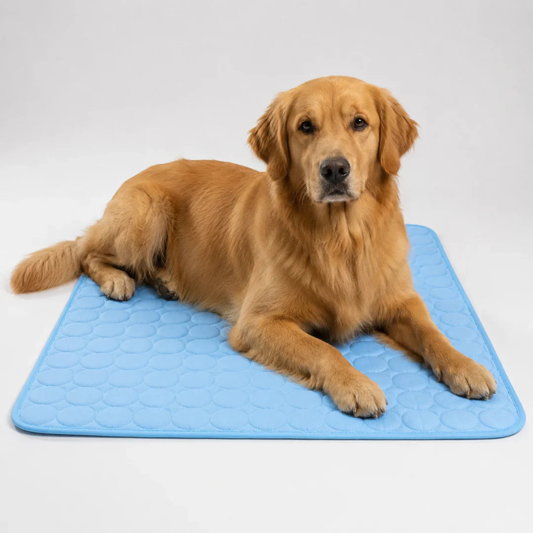Celrien | Frostbed Washable Pet Cooling Mat