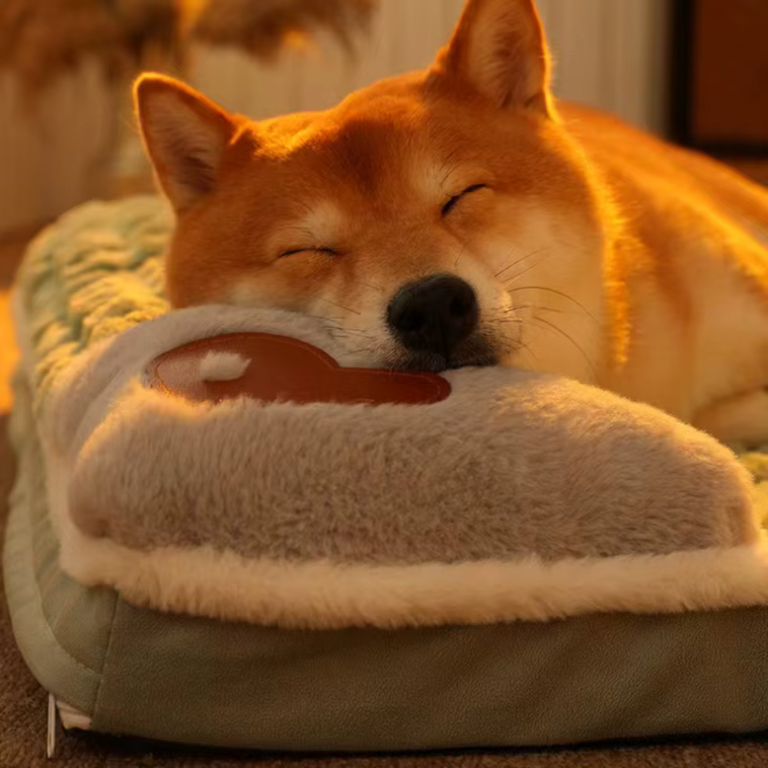 Celrien | Pawselle Orthopedic Memory Foam Pet Bed