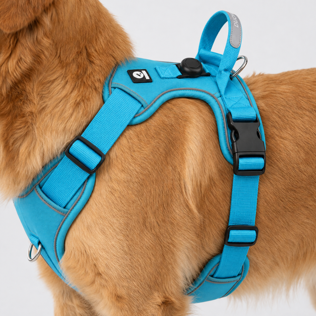 Celrien | Strutpaw Adjustable No-Pull Chest Harness
