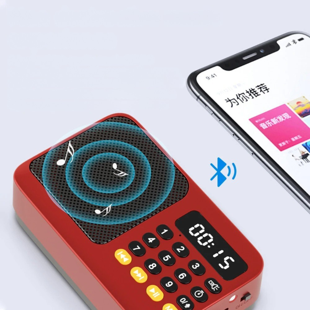 Celrien | AureoWave Rechargeable Portable Radio Speaker
