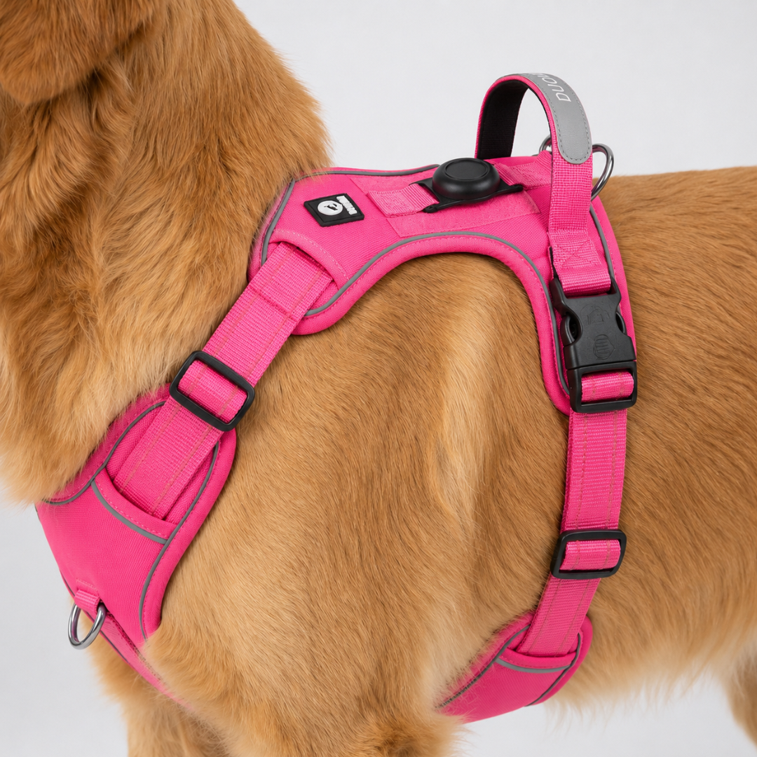 Celrien | Strutpaw Adjustable No-Pull Chest Harness