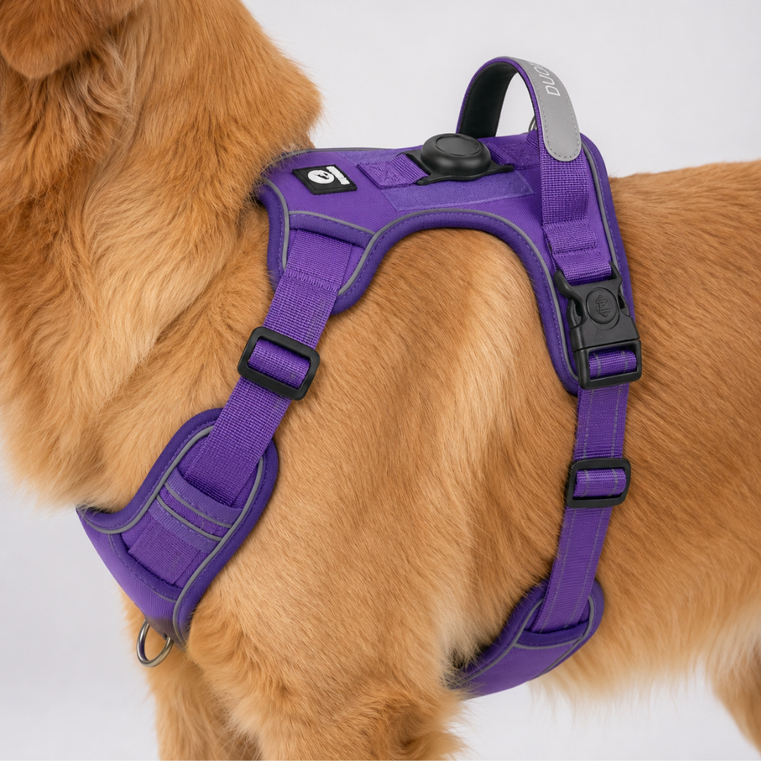 Celrien | Strutpaw Adjustable No-Pull Chest Harness