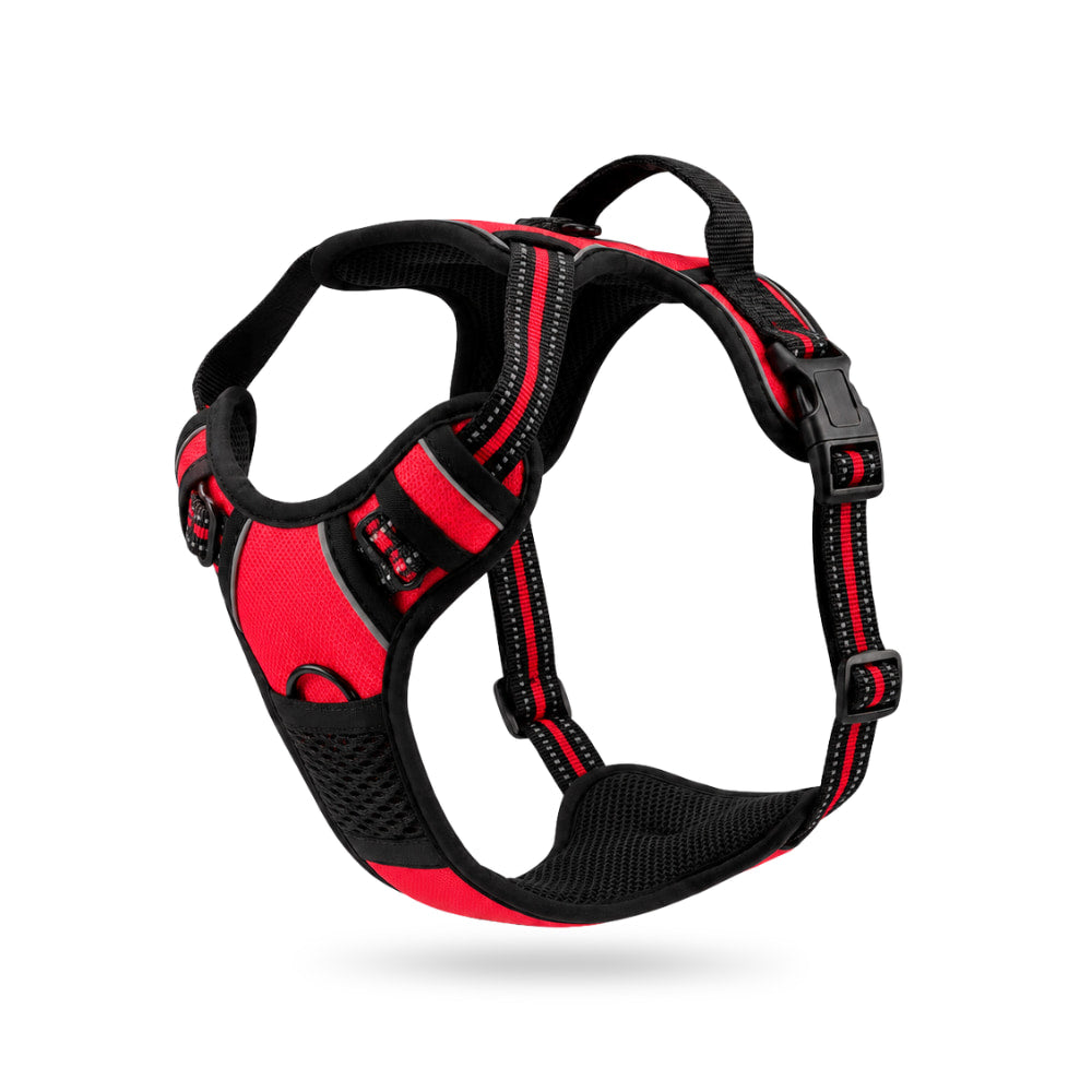 Padded No-Pull Dog Harness