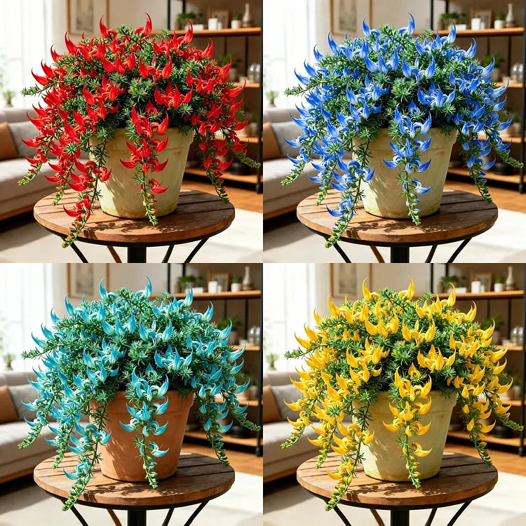 Parrot's Beak Flower Bulbs (100 Seeds)