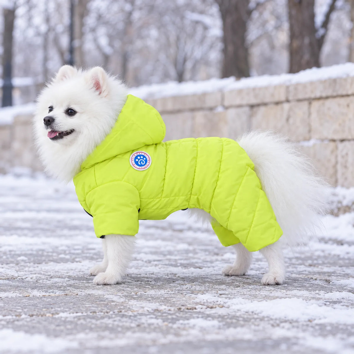 Celrien | Barkora Quilted Hooded Four-Legged Pet Coat