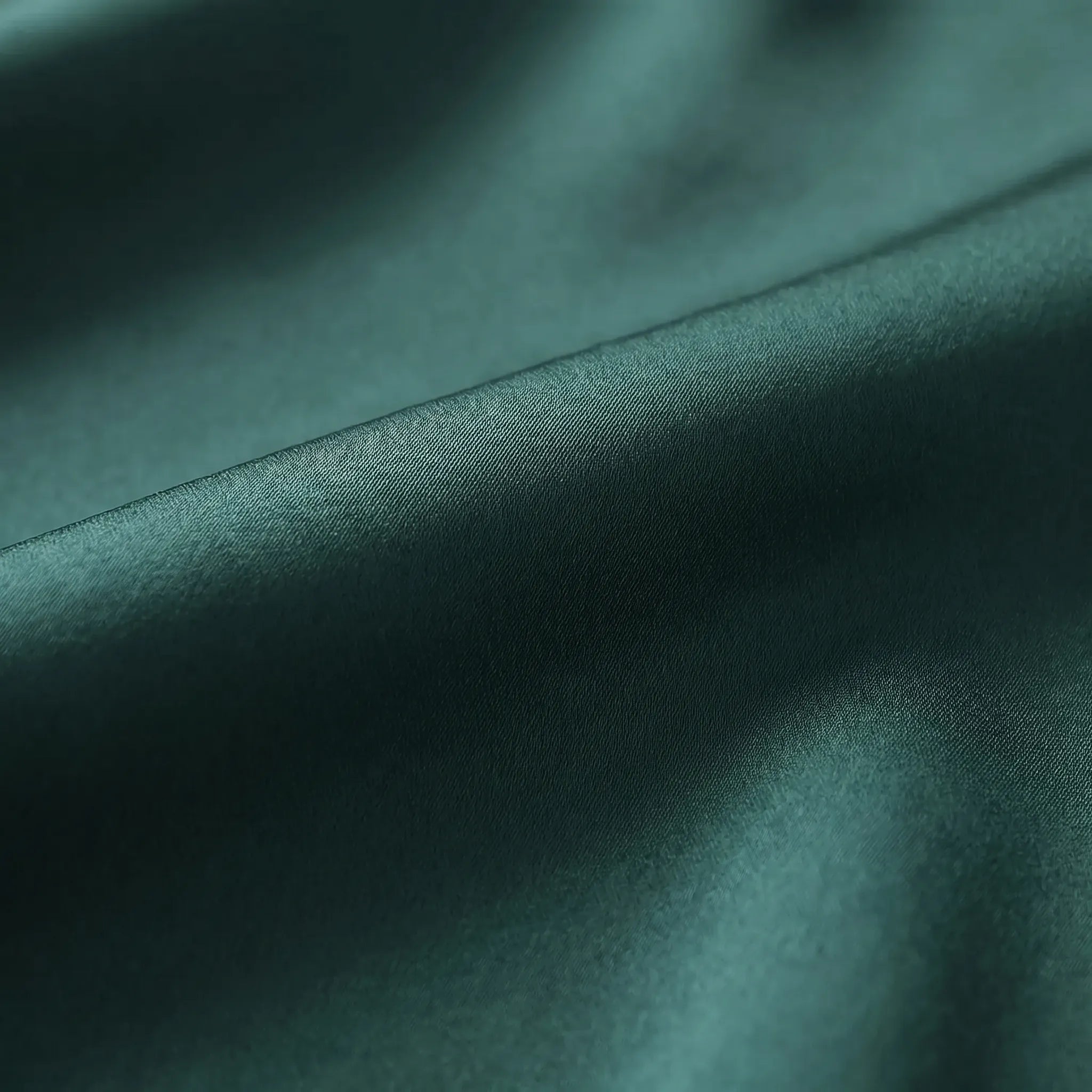 Celrien | Long Sleeve Lapel Collar Blouse