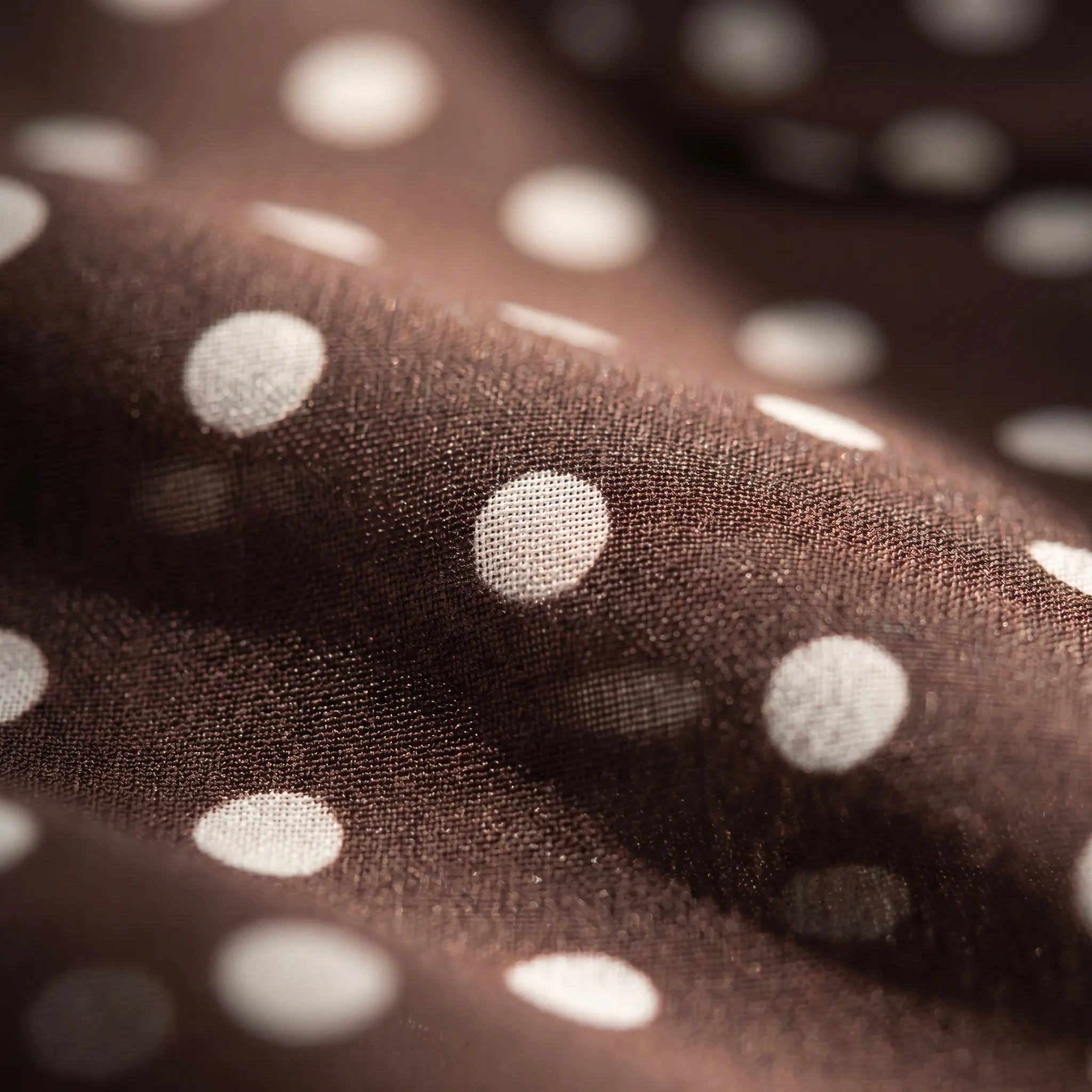 Celrien | Polka Dot Long Sleeve Bow Blouse