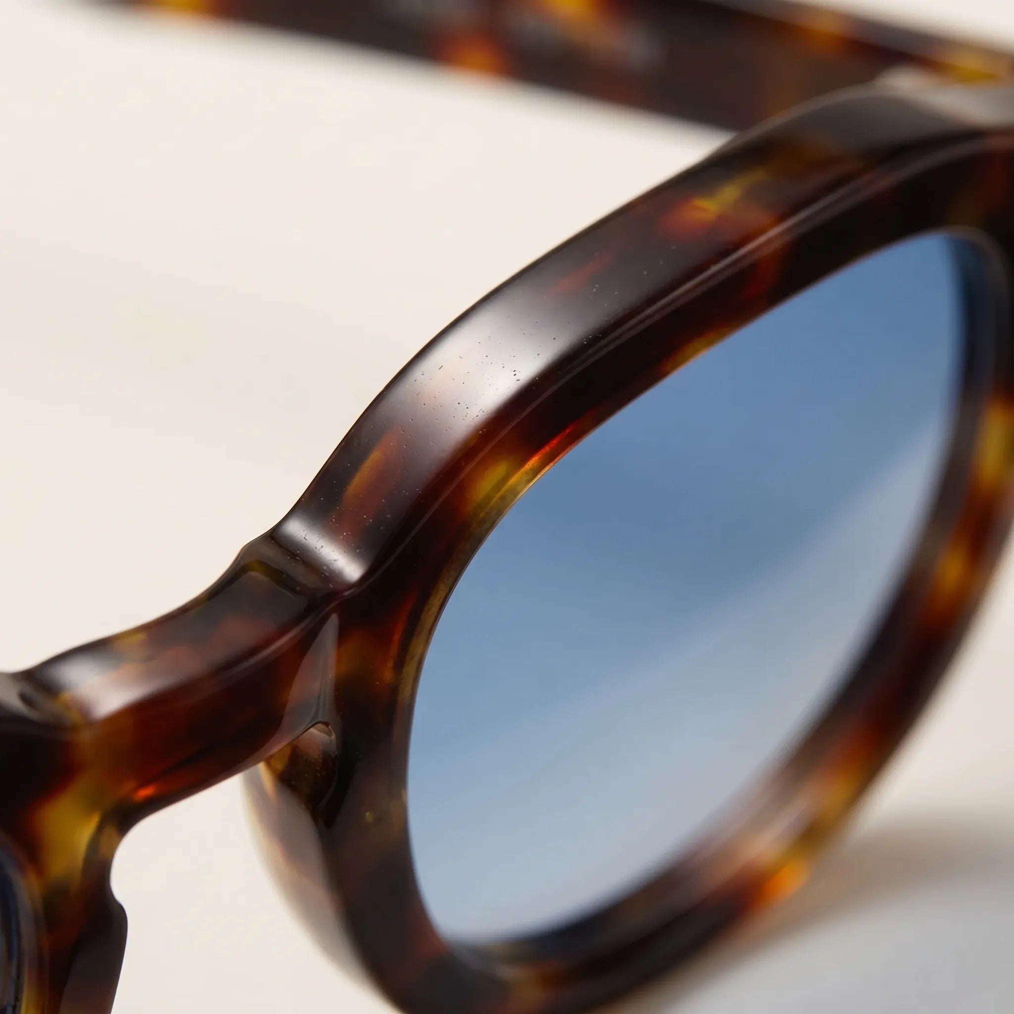 Celrien | Retro Round Tortoise Frame Sunglasses