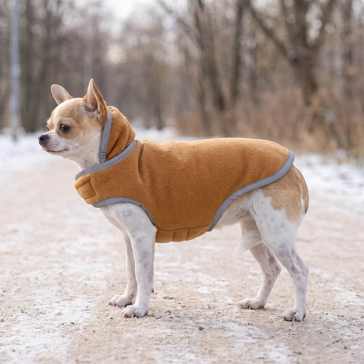 Celrien | Vandapup Reversible Quilted Pet Winter Puffer Coat