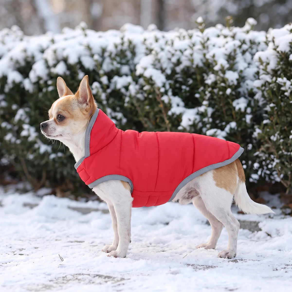 Celrien | Vandapup Reversible Quilted Pet Winter Puffer Coat