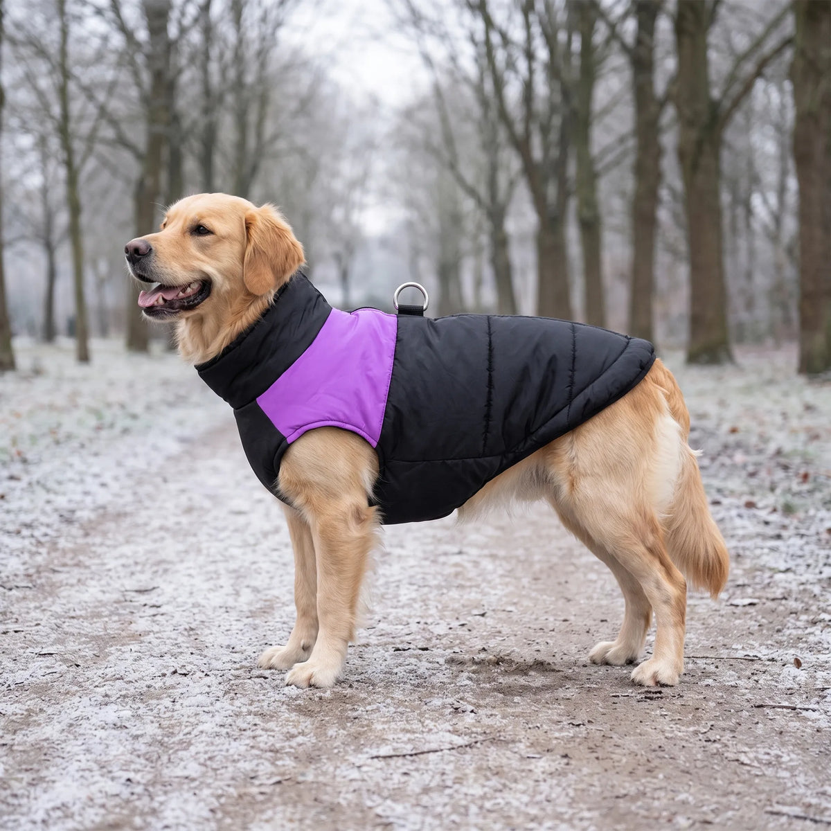 Celrien | Veltorak Quilted Cold Weather Pet Jacket With Leash Rings
