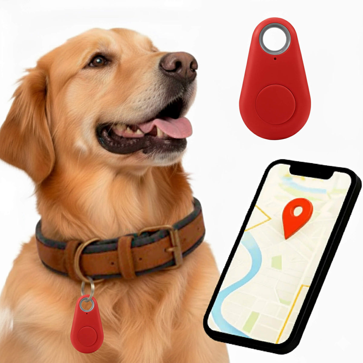 Dog GPS Tracker No Monthly Fees, Real-Time Location Updates