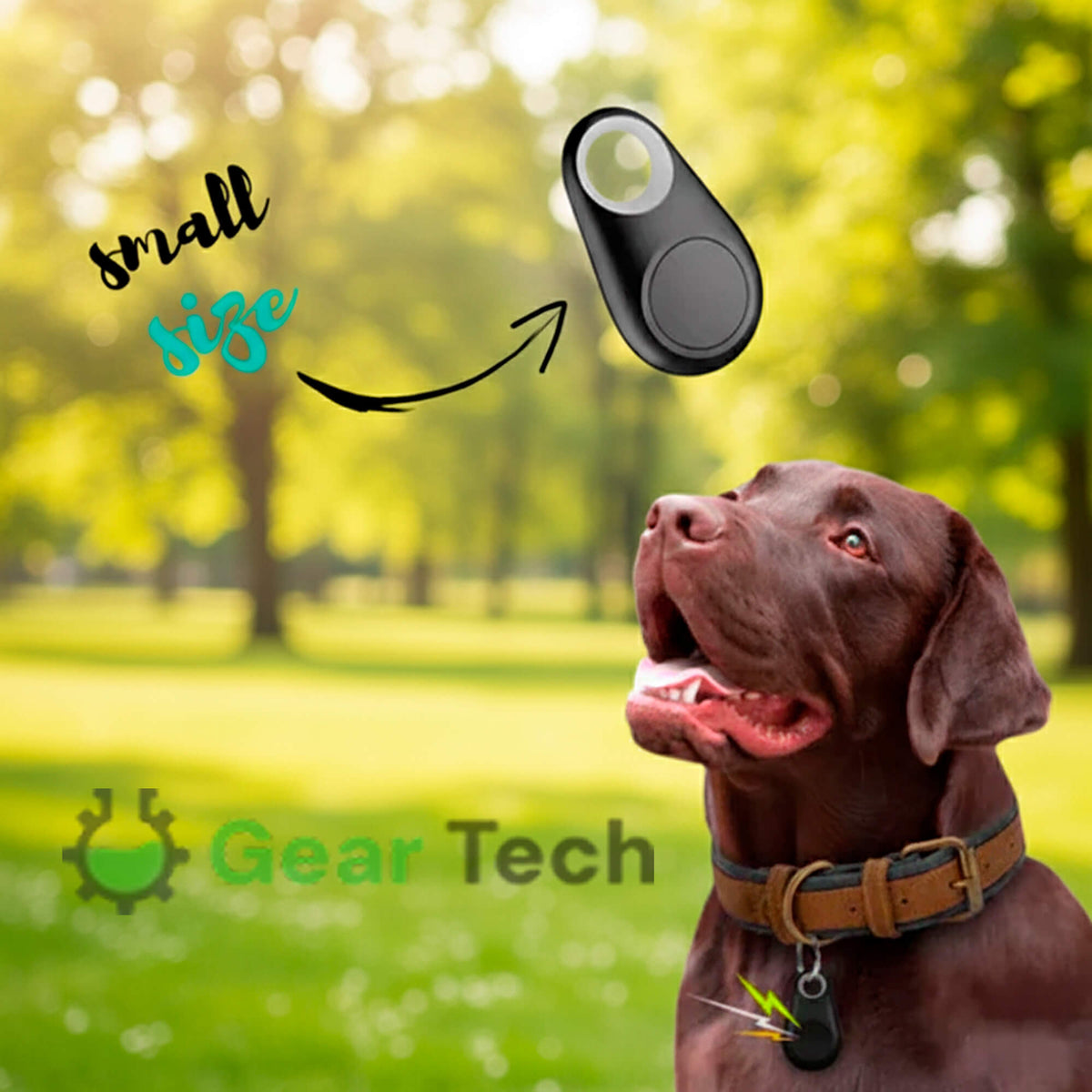 Dog GPS Tracker No Monthly Fees, Real-Time Location Updates