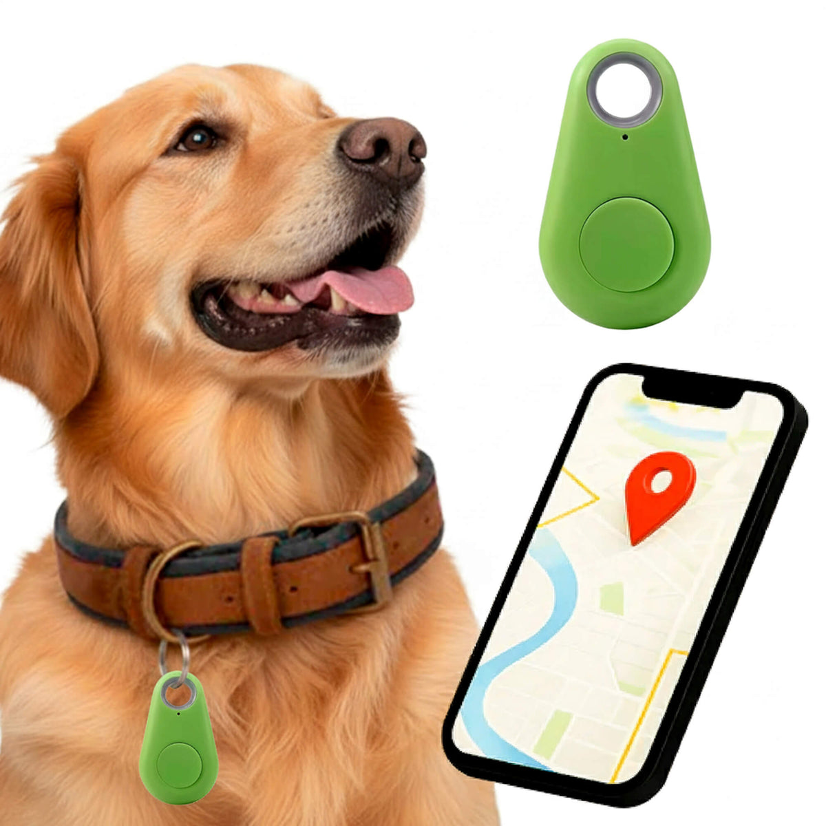 Dog GPS Tracker No Monthly Fees, Real-Time Location Updates