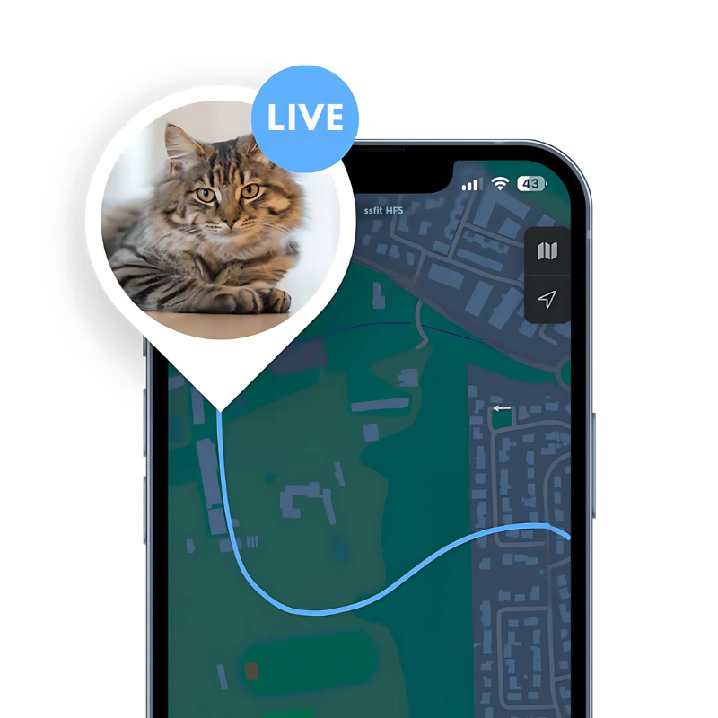 Pet GPS Tracker | Real-Time GPS & No Subscription Fee | Waterproof Nylon
