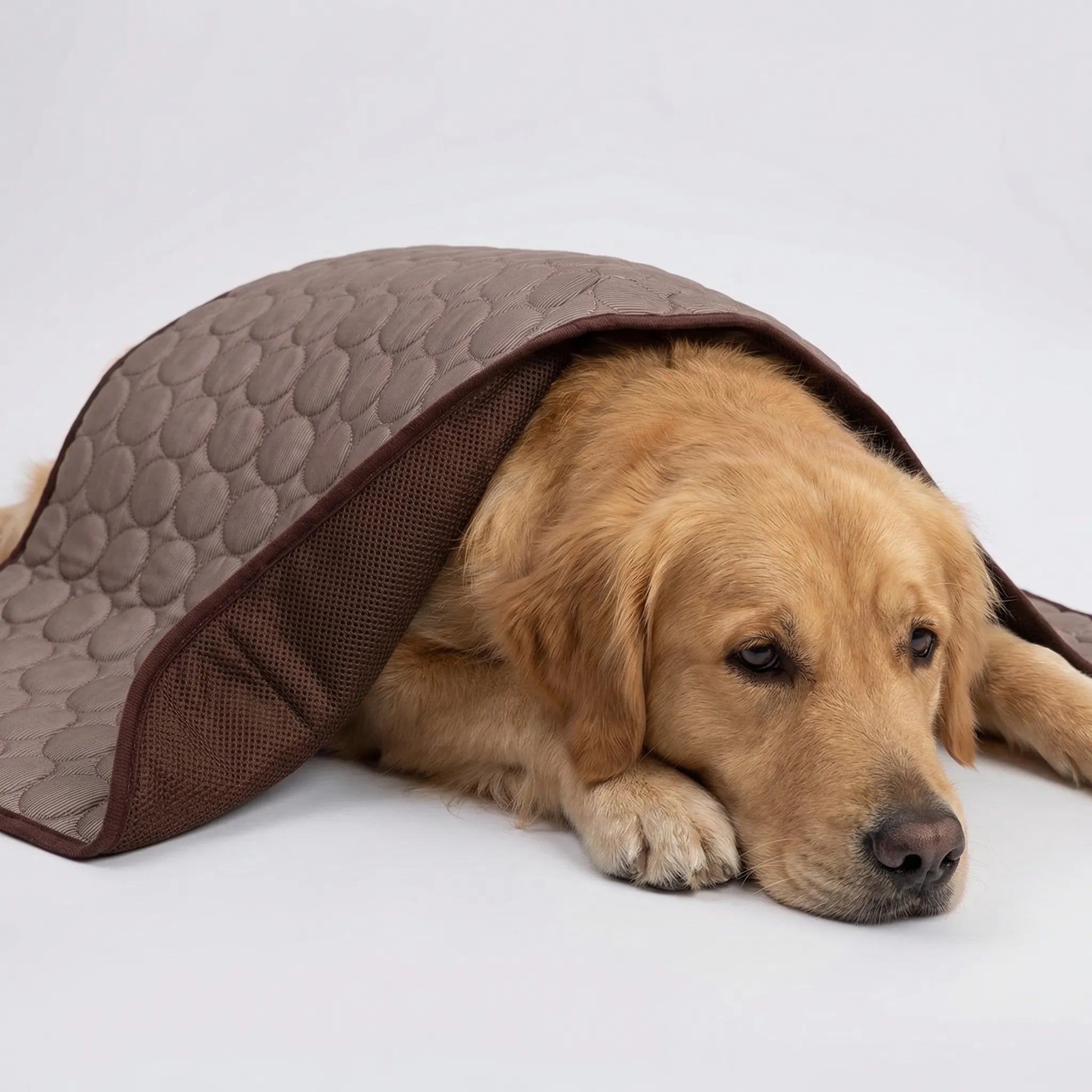 Breathable mesh cooling pet mat lightweight portable summer design