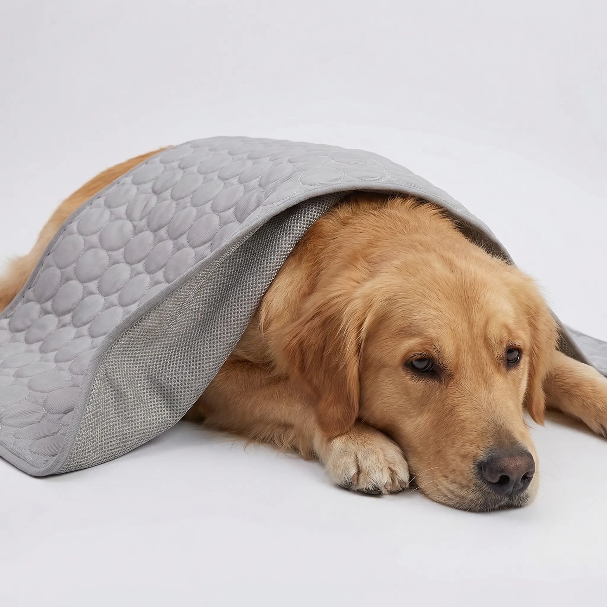 Breathable mesh cooling pet mat lightweight portable summer design