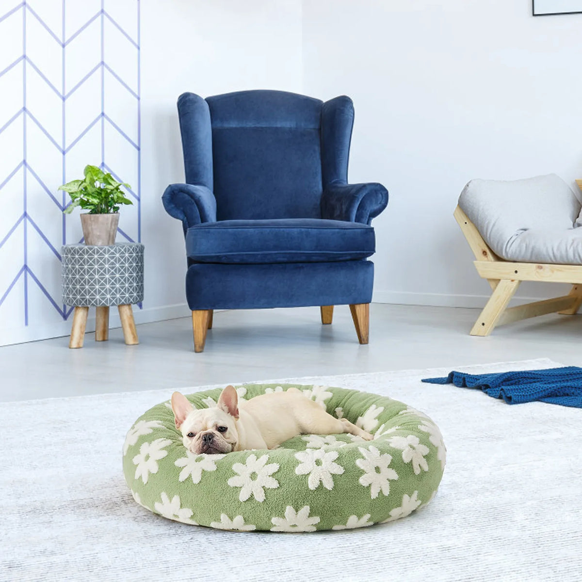Round plush dog bed with raised bolstered rim, non-slip base, machine-washable