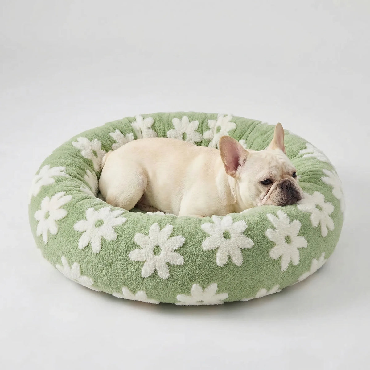 Round plush dog bed with raised bolstered rim, non-slip base, machine-washable