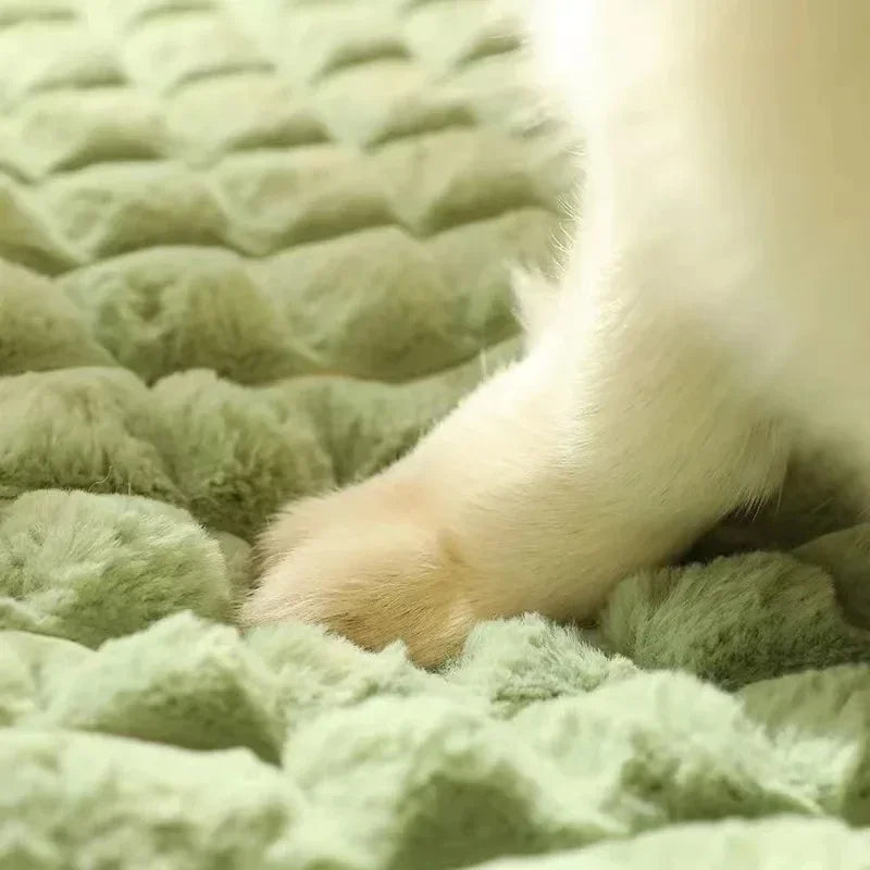 Orthopedic memory foam pet bed with quilted surface and non-slip base