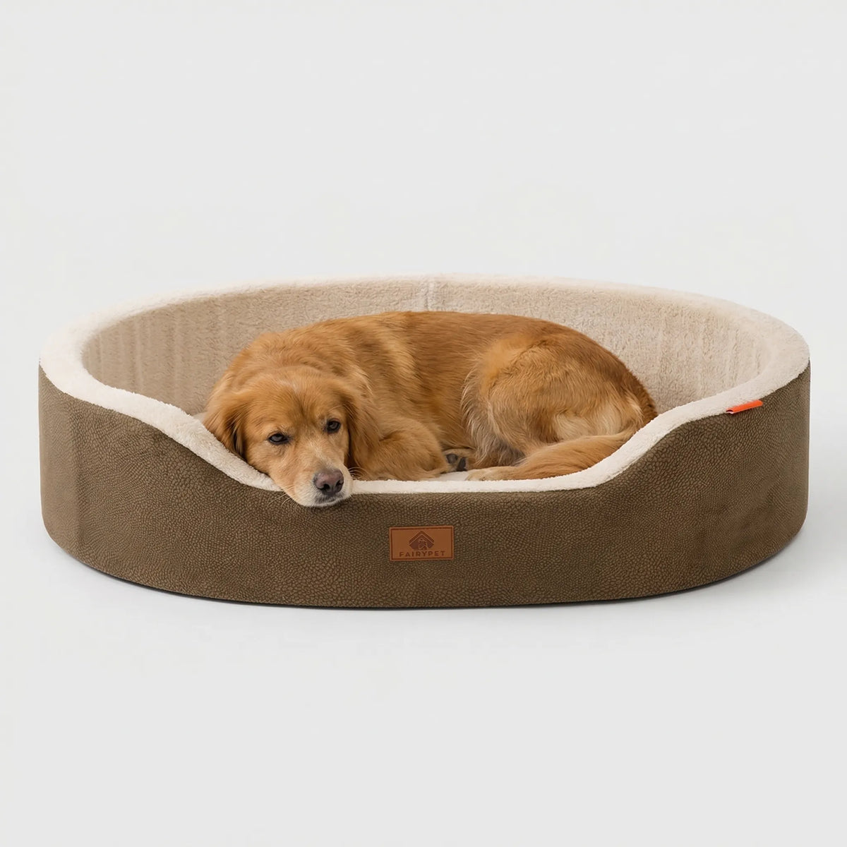Orthopedic dog bed couch style with plush surface and raised edges