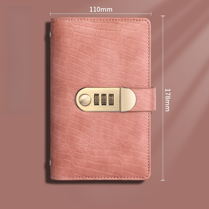 Locked Leather Cash Binder