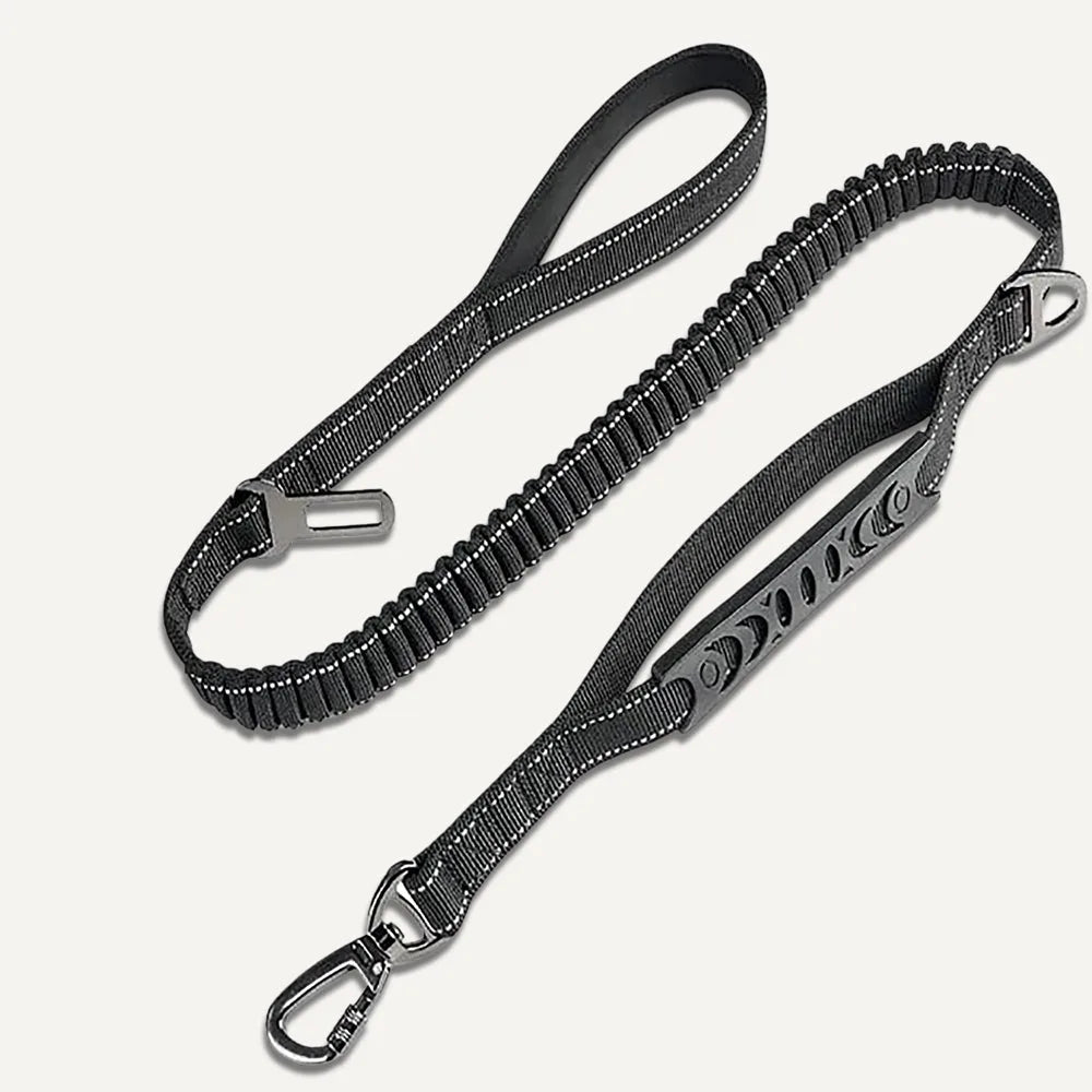 Anti-Pull Leash
