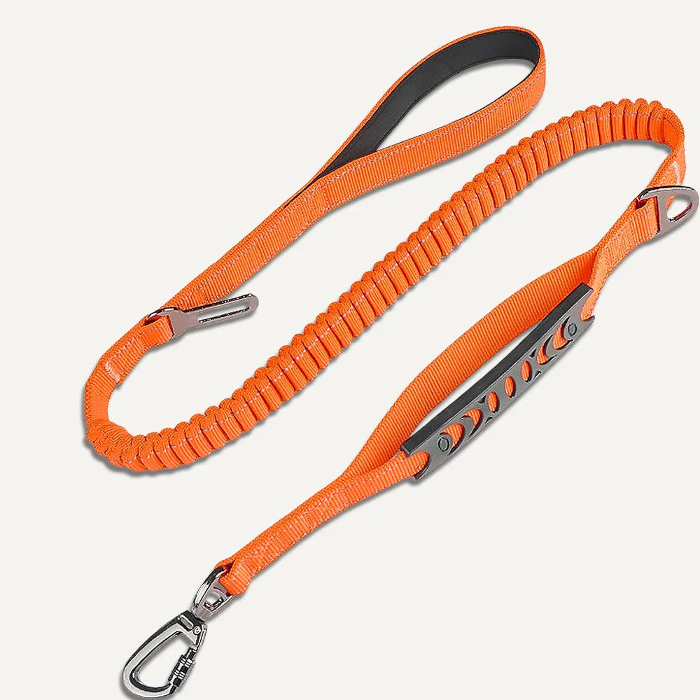Anti-Pull Leash