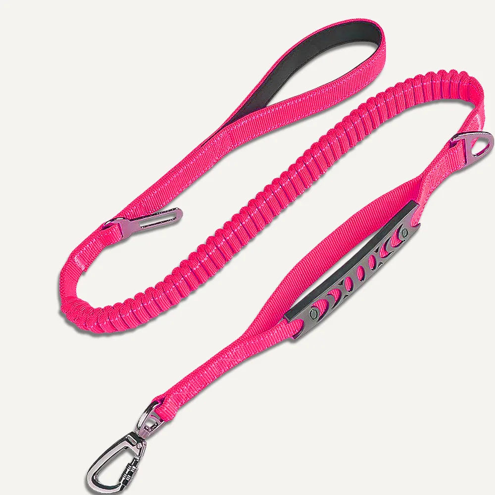 Anti-Pull Leash