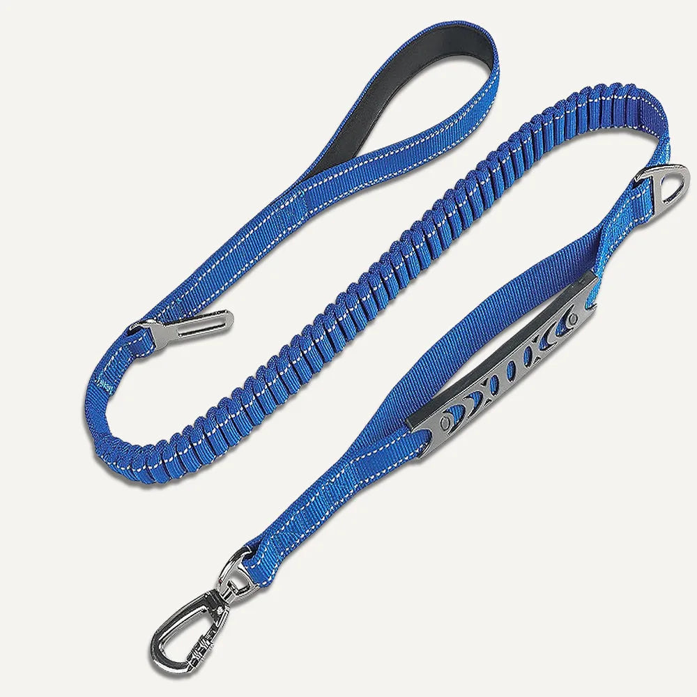 Anti-Pull Leash