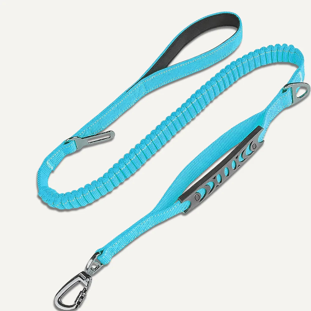 Anti-Pull Leash