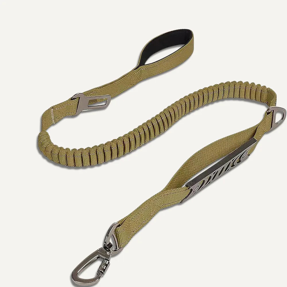 Anti-Pull Leash